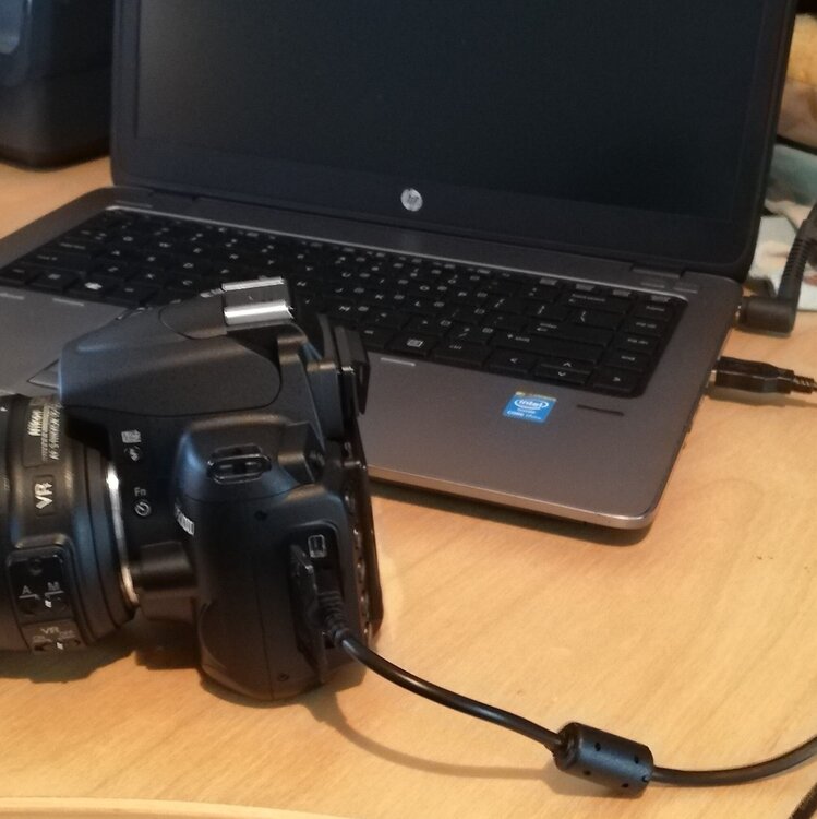 IMG_20220810_120031 (6).jpg